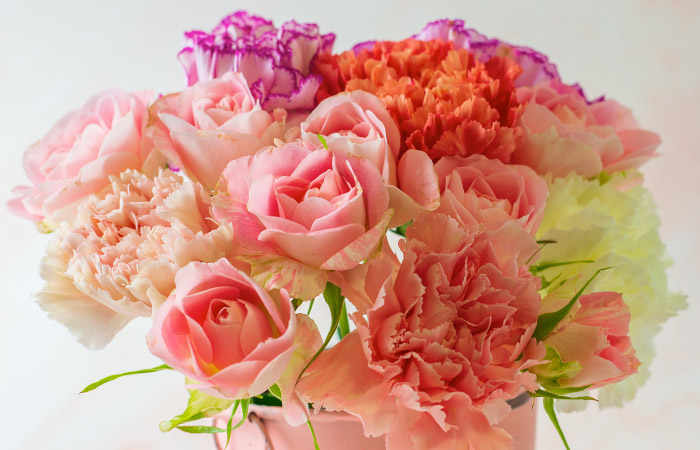 A bouquet of vibrant pink, orange, purple, and white/yellow flowers arranged in a pastel-colored vase against a soft, light-colored background.