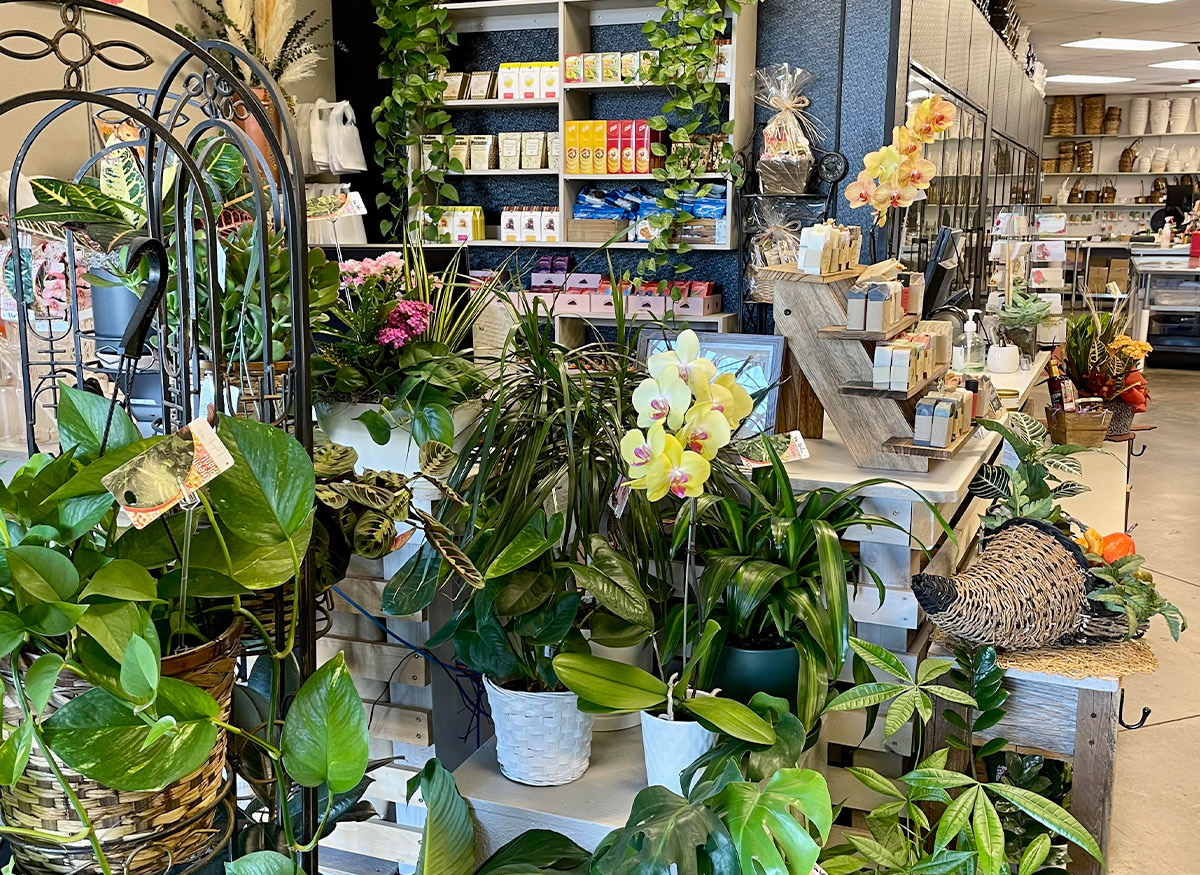 Potted flowers, gift baskets, lush plants and decorative accents behind the register